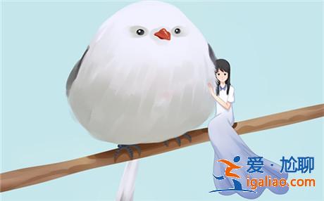 你会和单亲家庭的孩子恋爱吗