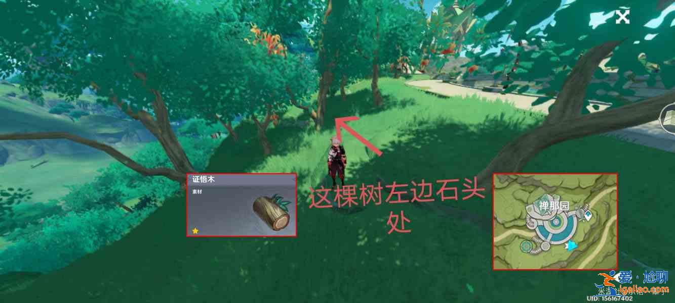 原神砍树道具怎么用最好？王树瑞佑最快砍树攻略？
