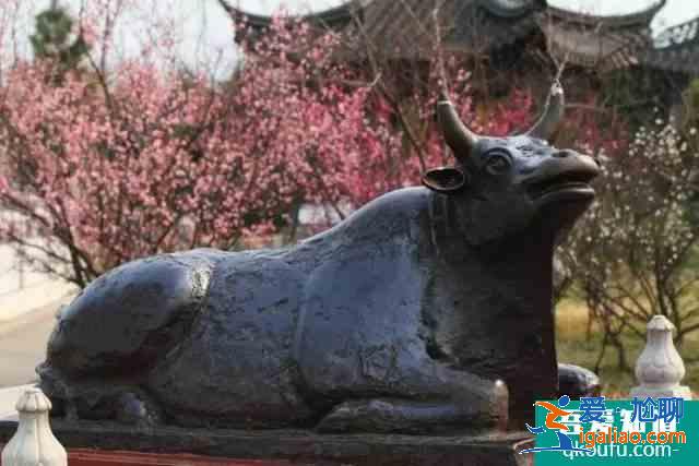 热播网剧《河神2》，原来讲的是咱江都的这些“神兽”？