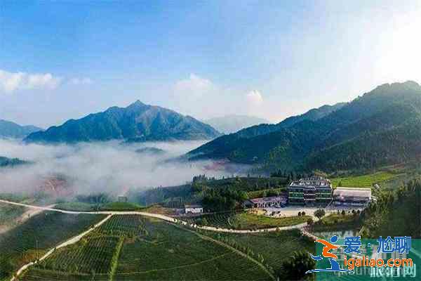 广东省道S244起止路线 沿途美景有哪些？