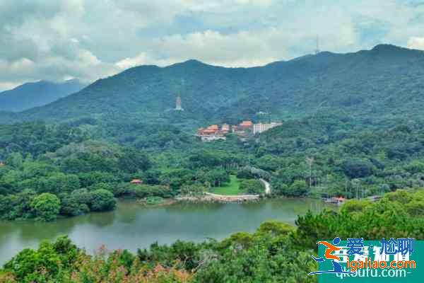 受疫情影响深圳仙湖植物园1月7？