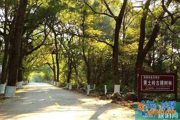 广东省道S244起止路线 沿途美景有哪些？
