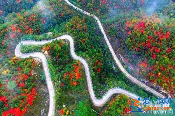 河南五条最美自驾公路？