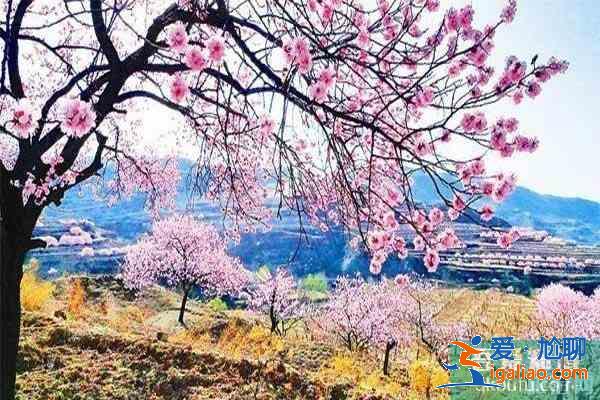 湖北襄阳赏花地推荐 襄阳赏花地图？