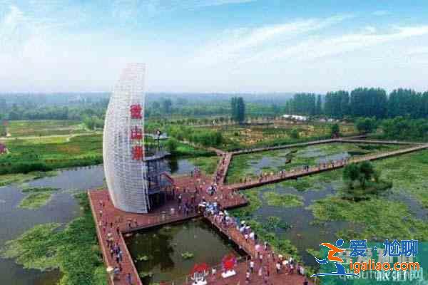 枣庄十大旅游景点 旅游景区推荐？