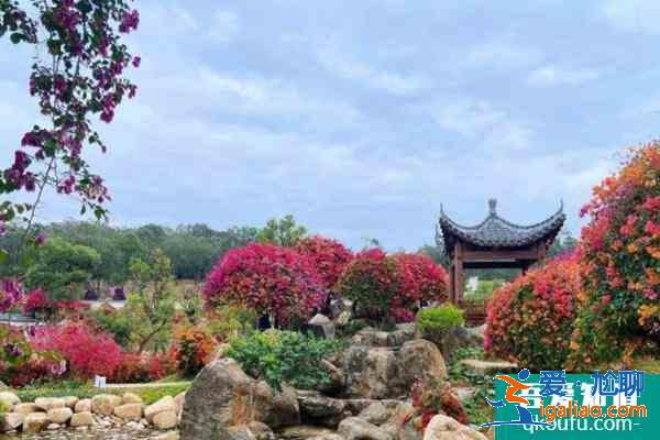 2022广州马岭观花植物园春节开放吗？