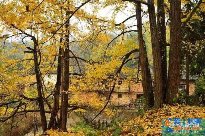 12月份去哪里旅游好 12月去哪里旅游最合适？