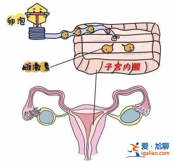 合肥代生机构-45岁还可以吗？？
