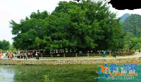 阳朔旅游必去十大景点？