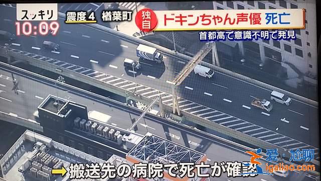七龙珠布玛《声优鹤弘美逝世》代表作还有：古灵精怪鲇川圆、GS美神、乱马中的右京..等
