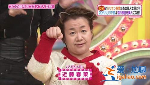 综艺咖大集合《2014上半年电视演出集数》最多的日本艺人们