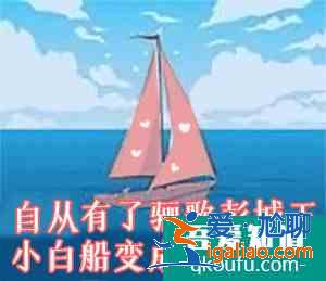 飒爽女侠、直球追爱……《锦绣南歌》里这些女性角色一个比一个有意？