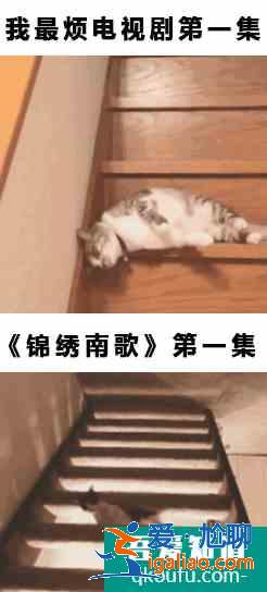 飒爽女侠、直球追爱……《锦绣南歌》里这些女性角色一个比一个有意？