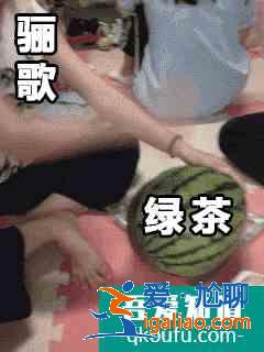 飒爽女侠、直球追爱……《锦绣南歌》里这些女性角色一个比一个有意？