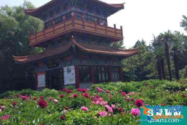 2022受疫情影响洛阳隋唐城遗址植物园临时闭园公告？