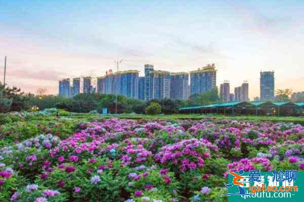 2022受疫情影响洛阳隋唐城遗址植物园临时闭园公告？