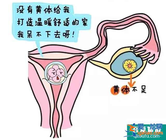 试管婴儿移植后黄体支持还需多久？？