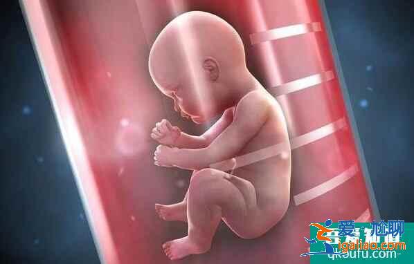试管婴儿胚胎培养几天移植？囊胚移植成功率高吗？
