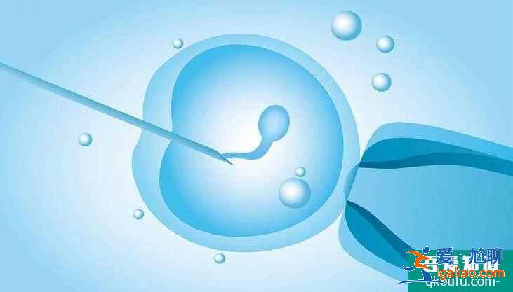 试管婴儿胚胎培养几天移植？囊胚移植成功率高吗？