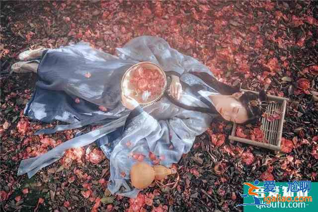 《锦绣南歌》女侠老头的恋歌，秦昊谷嘉诚是你心中的魏晋名士吗？？