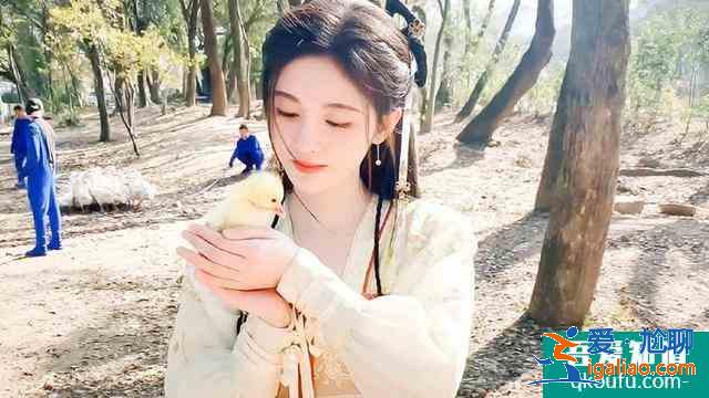 《如意芳霏》剧照曝光！回顾芸汐传中古装女神，鞠婧祎确实神颜？