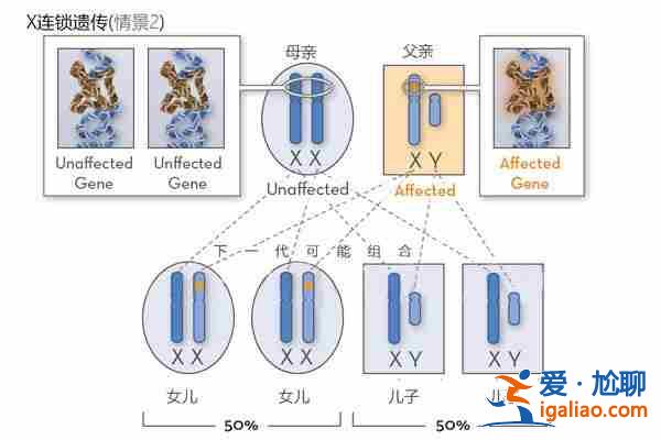 广州有哪些助孕公司「上万成功案例」？