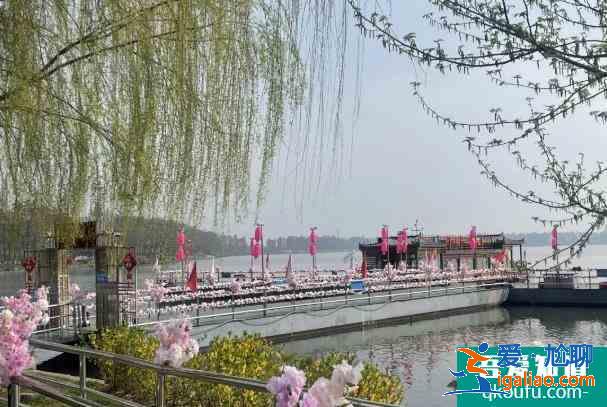武汉东湖樱花园2021年开放时间 赏花攻略？