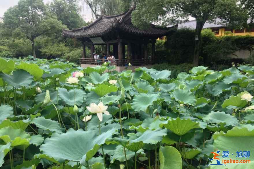 【绍兴旅游】绍兴免费公园大全（附：游览线路、交通指南）？