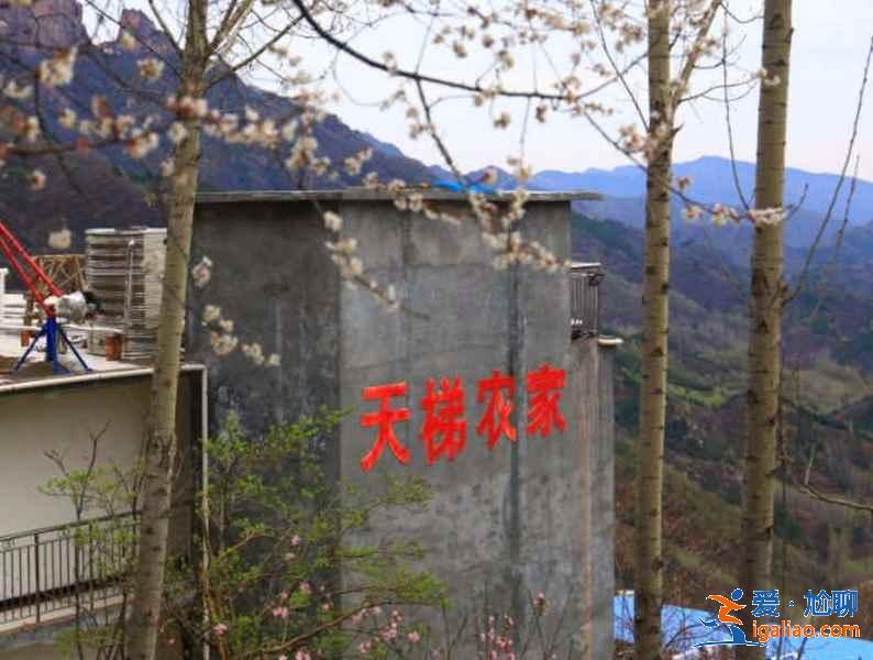 新乡万仙山景区住宿推荐，万仙山住宿攻略？