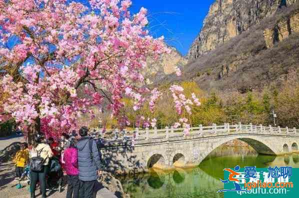2021云台山景区优惠免费门票活动？