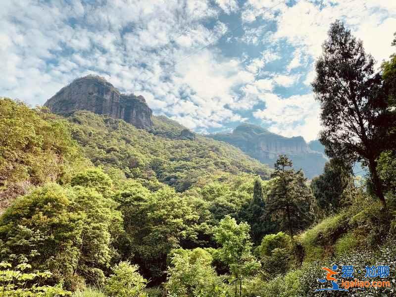 雁荡山门票价格，雁荡山门票优惠信息？