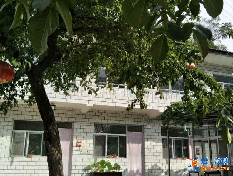 白石山住宿哪里好，白石山农家院推荐，白石山住宿攻略？