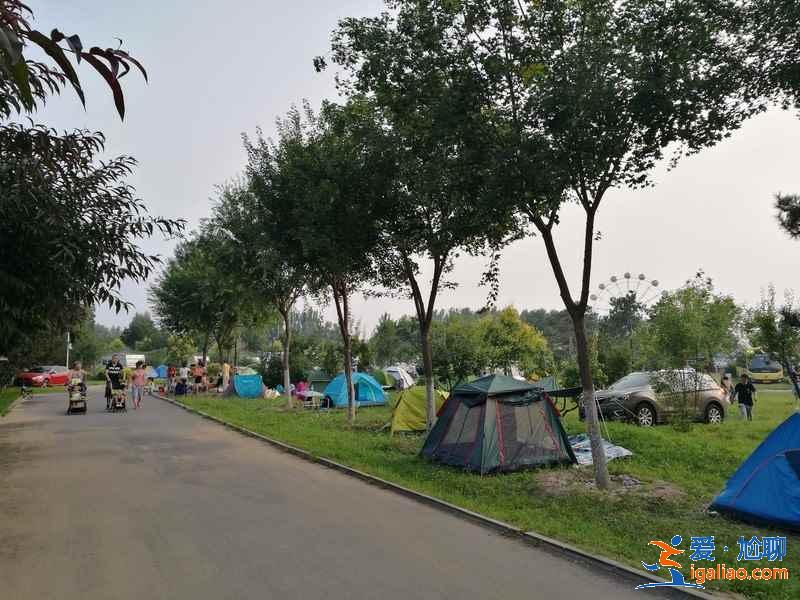 如何选择露营地，怎么选择露营地点？