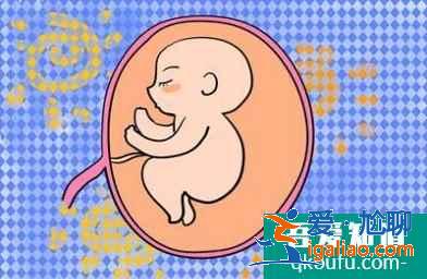 试管婴儿怀多胎后为什么需要减胎?？