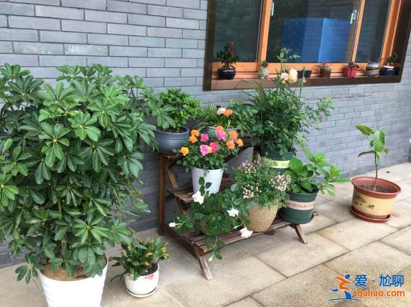 无锡比较好的民宿推荐，无锡民宿住宿攻略？