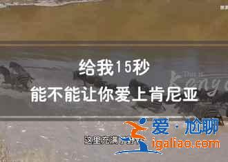 【肯尼亚旅游注意事项】肯尼亚旅游需注意什么？