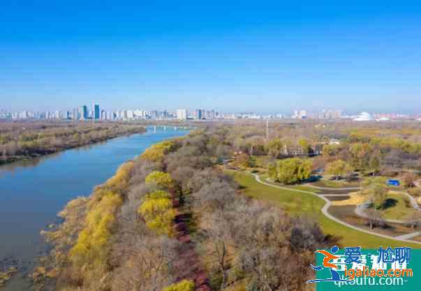 师大夜市现在开业吗2021 哈尔滨太阳岛改造规划？