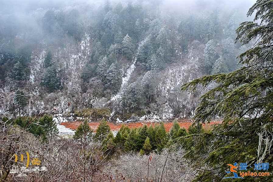 海螺沟在哪，海螺沟在哪个市，海螺沟怎么去？
