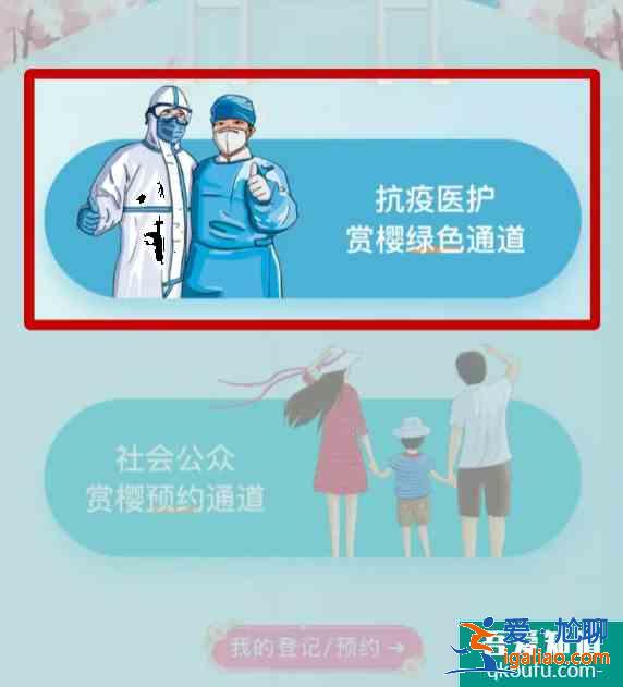 2021武大樱花怎么预约 武大樱花抗疫医护预约通道？