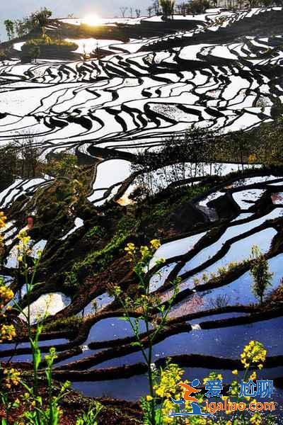 元阳梯田观看指南（时间、观看地点、摄影指南）？