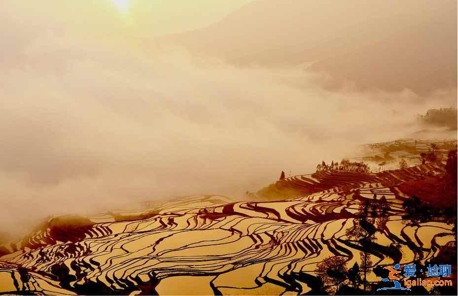 元阳梯田观看指南（时间、观看地点、摄影指南）？