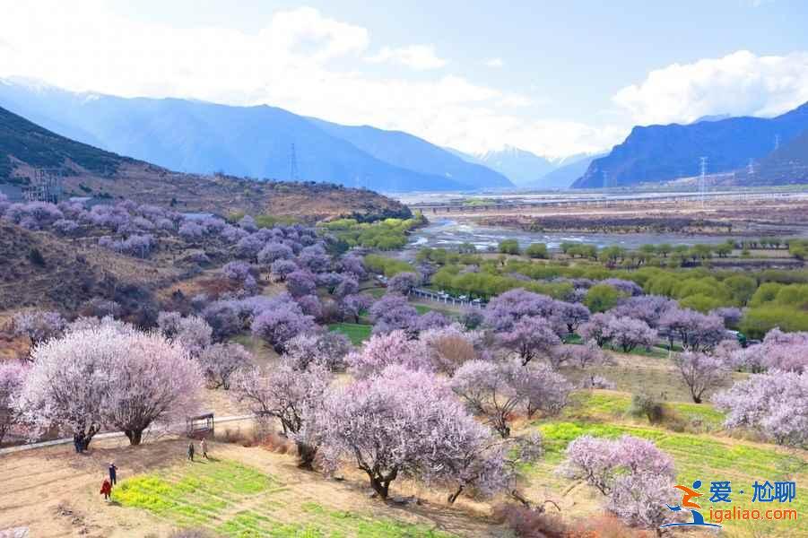 按月旅行，12个月旅行目的地推荐？