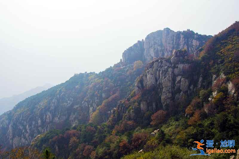 去泰山旅游住哪好，泰山山顶住宿多少钱？