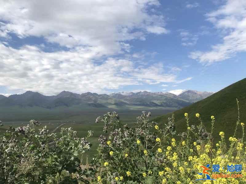 夏天去哪个草原好？驰骋中国美丽的六大草原？