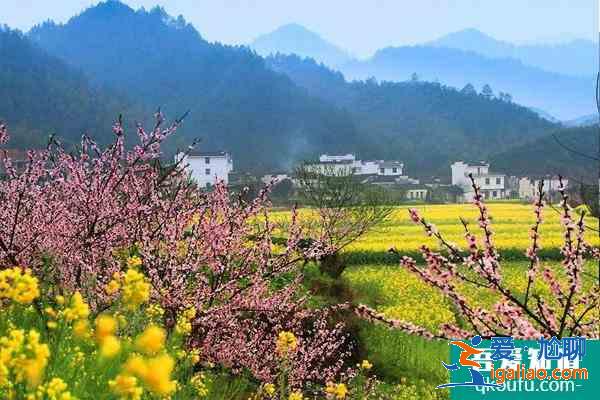 江西婺源旅游几月份去最好 江西婺源必去的三个景点？