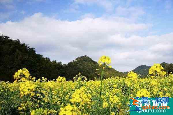 2021广州从化石门森林公园游玩攻略 从化石门森林公园交通及住宿？