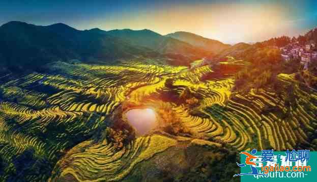 篁岭油菜花开了吗 2021婺源篁岭花朝节时间及活动详情？