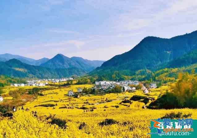 篁岭油菜花开了吗 2021婺源篁岭花朝节时间及活动详情？