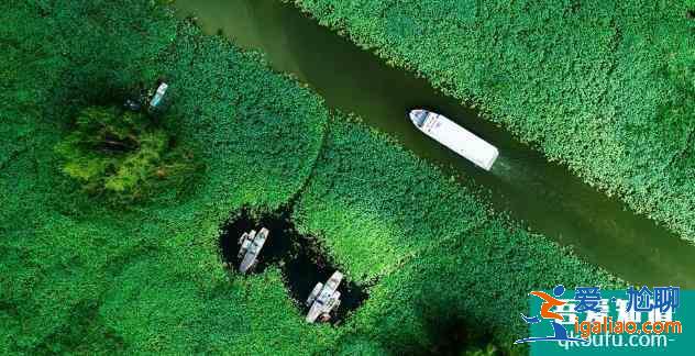 2021红荷湿地免费优惠政策 免费时间？