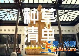 大同土林好玩吗，大同土林怎么去，大同土林门票多少钱？